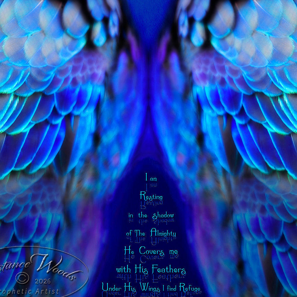 Worship & Intimacy Gallery