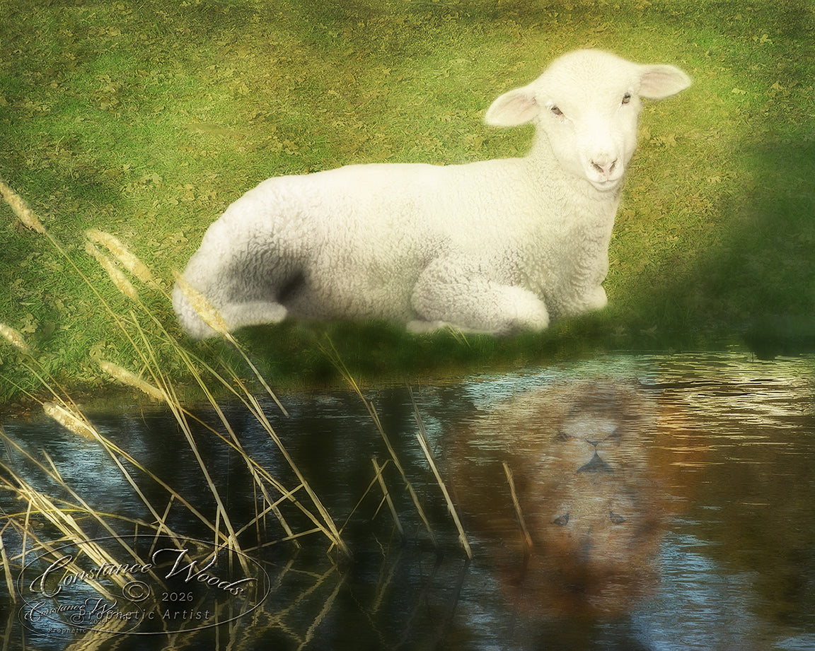 From Lamb To Lion