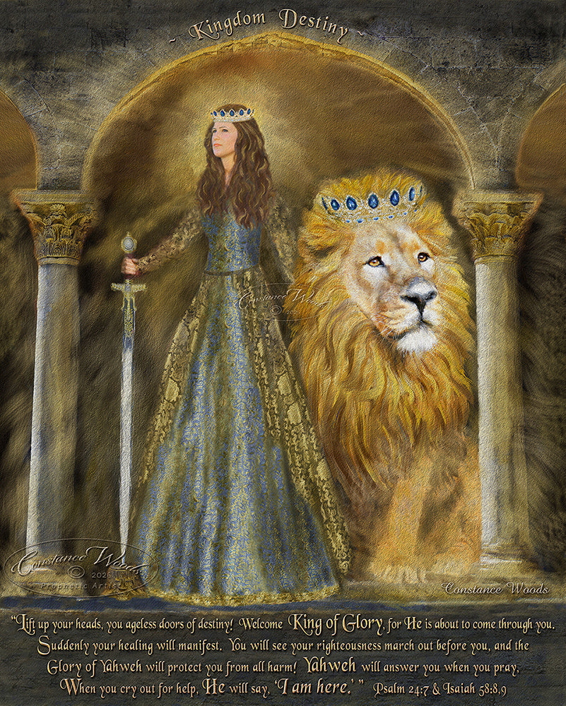 Kingdom Destiny - Protector & Healer