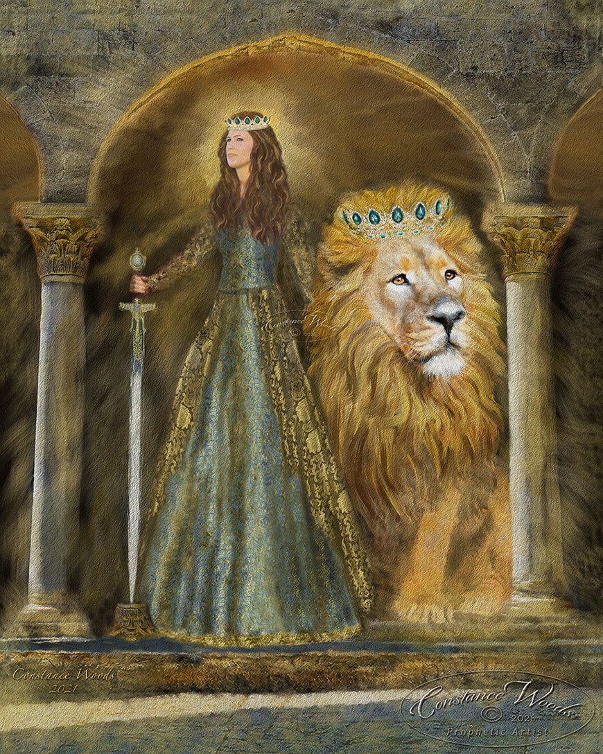 Kingdom Destiny - Protector & Healer 2