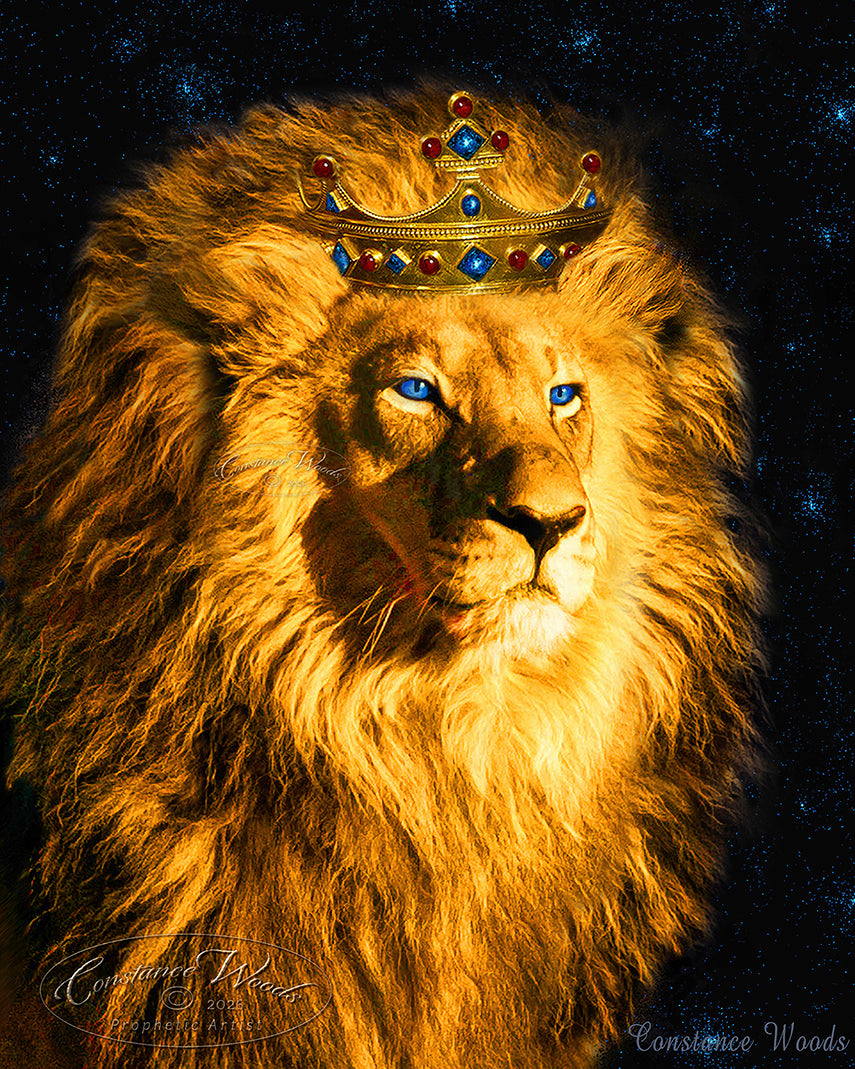Lion King Of Kings